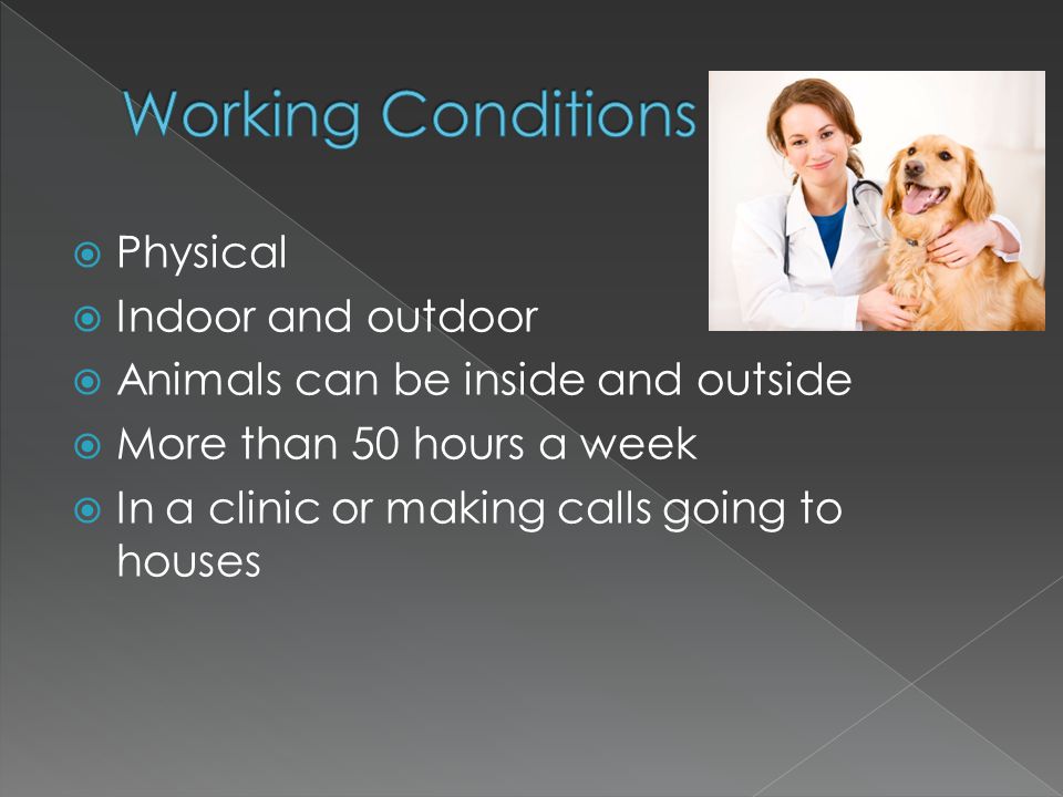  Physical  Indoor and outdoor  Animals can be inside and outside  More than 50 hours a week  In a clinic or making calls going to houses