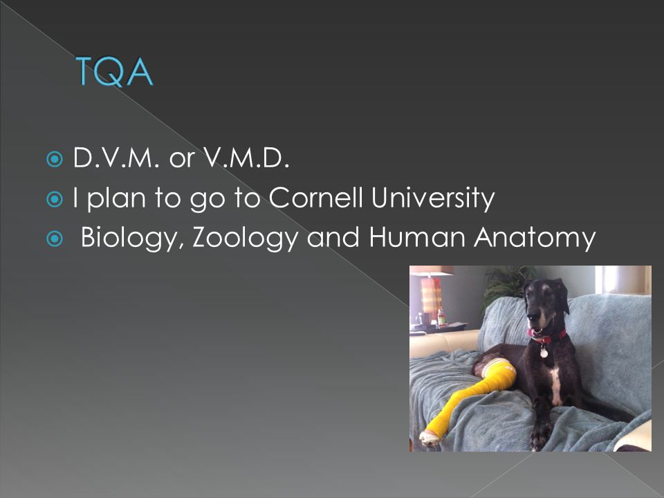  D.V.M. or V.M.D.  I plan to go to Cornell University  Biology, Zoology and Human Anatomy