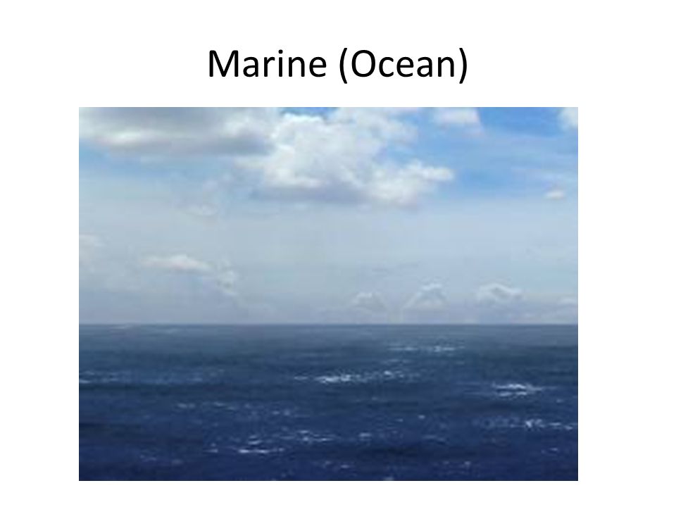 Marine (Ocean)