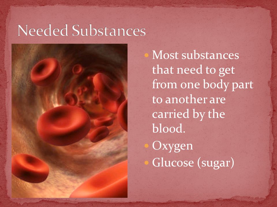 Most substances that need to get from one body part to another are carried by the blood.