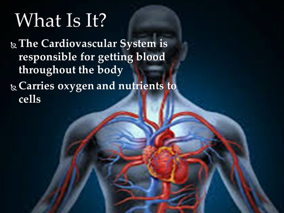  The Cardiovascular System is responsible for getting blood throughout the body  Carries oxygen and nutrients to cells What Is It