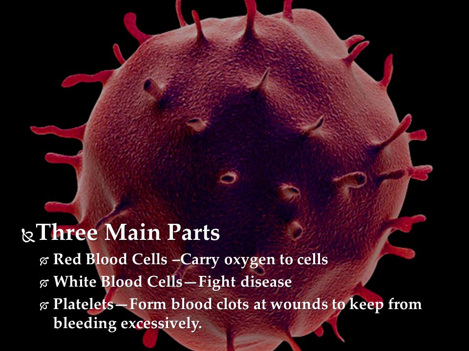  Three Main Parts  Red Blood Cells –Carry oxygen to cells  White Blood Cells—Fight disease  Platelets—Form blood clots at wounds to keep from bleeding excessively.