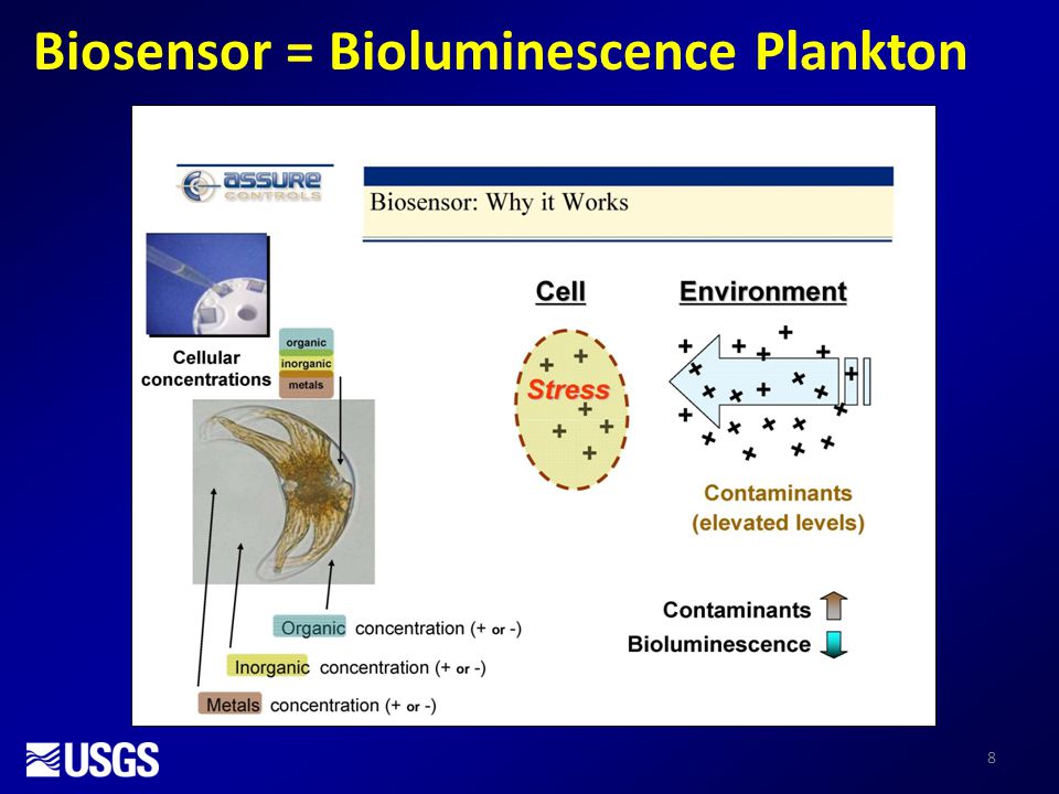 8 Biosensor = Bioluminescence Plankton