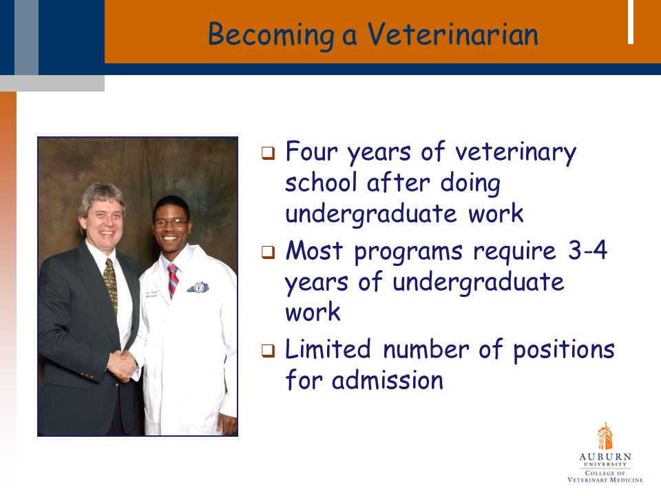 Becoming a Veterinarian  Four years of veterinary school after doing undergraduate work  Most programs require 3-4 years of undergraduate work  Limited number of positions for admission