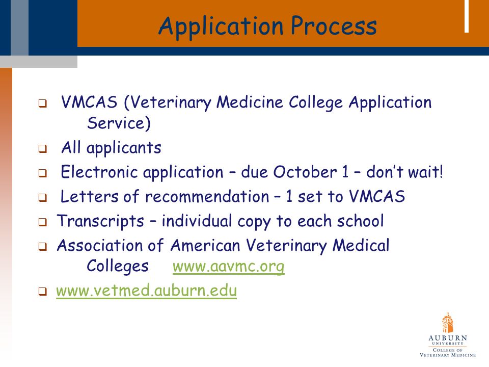 Application Process  VMCAS (Veterinary Medicine College Application Service)  All applicants  Electronic application – due October 1 – don’t wait.