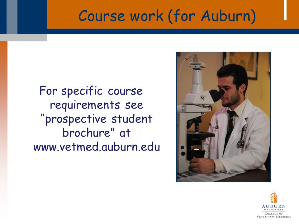 Course work (for Auburn) For specific course requirements see prospective student brochure at