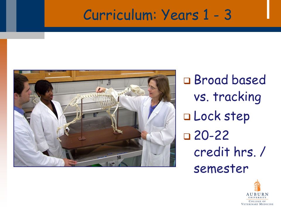 Curriculum: Years  Broad based vs. tracking  Lock step  credit hrs. / semester