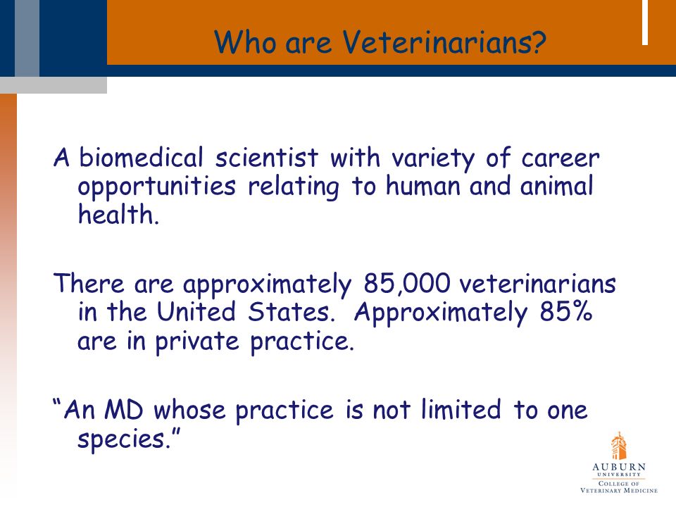 Who are Veterinarians.