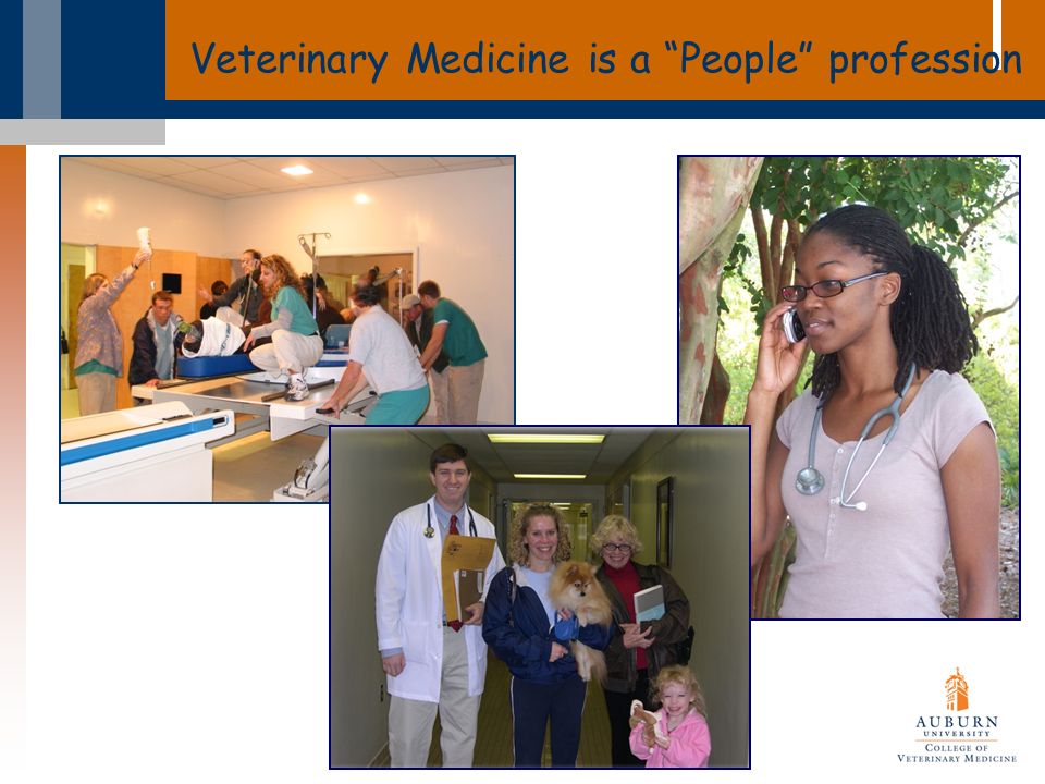 Veterinary Medicine is a People profession