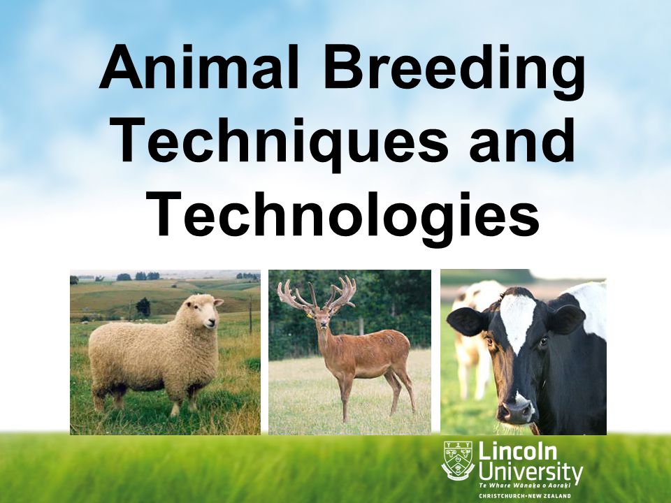 New Technologies in Animal Breeding