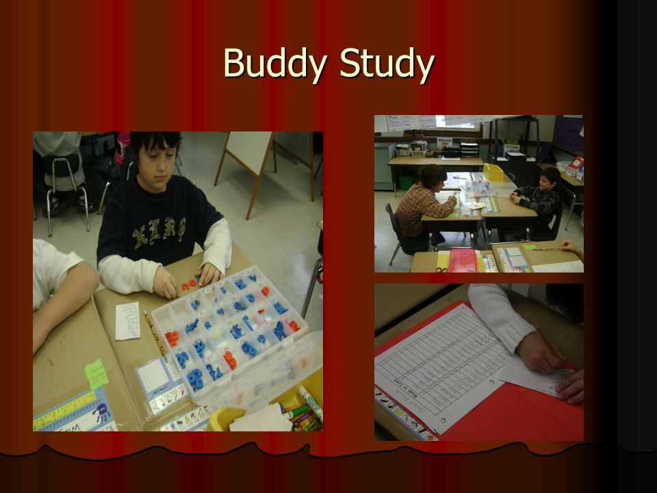 Buddy Study