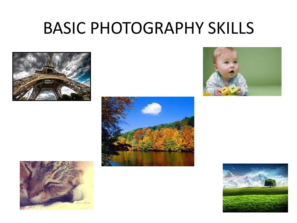 BASIC PHOTOGRAPHY SKILLS