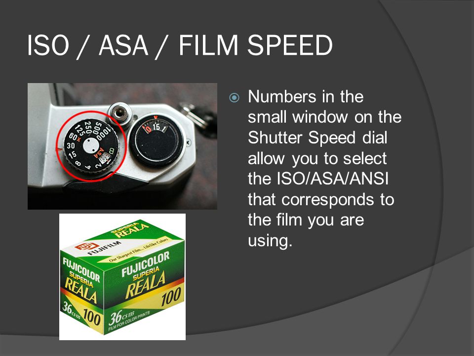 ISO / ASA / FILM SPEED  Numbers in the small window on the Shutter Speed dial allow you to select the ISO/ASA/ANSI that corresponds to the film you are using.