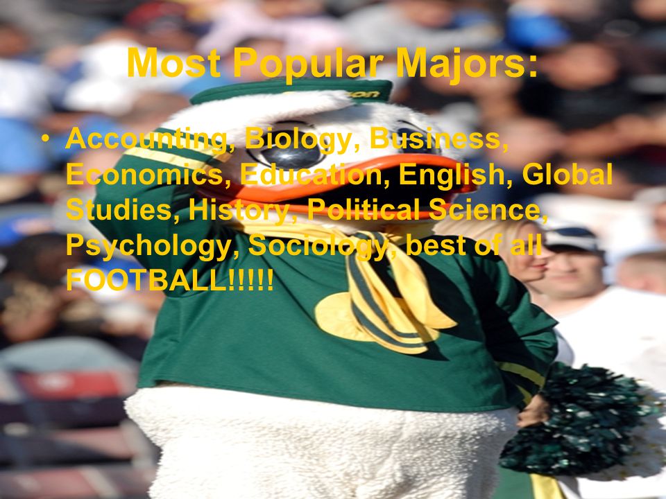 Most Popular Majors: Accounting, Biology, Business, Economics, Education, English, Global Studies, History, Political Science, Psychology, Sociology, best of all FOOTBALL!!!!!