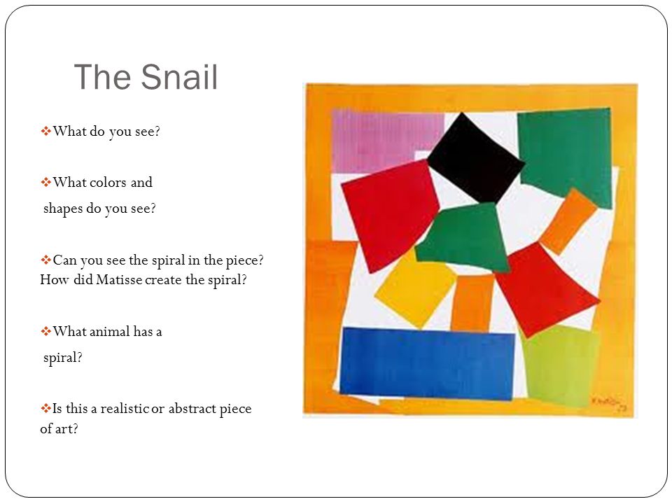 The Snail  What do you see.  What colors and shapes do you see.