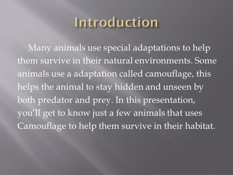 By: Eric. Many animals use special adaptations to help them survive in  their natural environments. Some animals use a adaptation called  camouflage, this. - ppt download