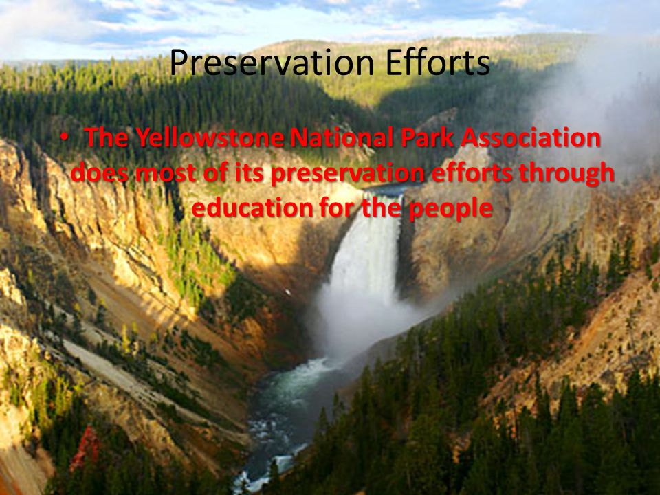 Preservation Efforts The Yellowstone National Park Association does most of its preservation efforts through education for the people The Yellowstone National Park Association does most of its preservation efforts through education for the people