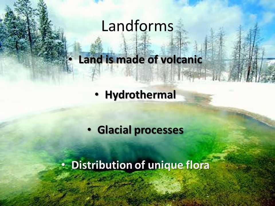 Landforms Land is made of volcanic Land is made of volcanic Hydrothermal Hydrothermal Glacial processes Glacial processes Distribution of unique flora Distribution of unique flora