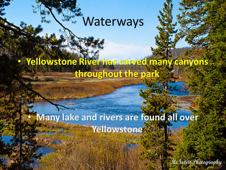 Waterways Yellowstone River has carved many canyons throughout the park Yellowstone River has carved many canyons throughout the park Many lake and rivers are found all over Yellowstone Many lake and rivers are found all over Yellowstone