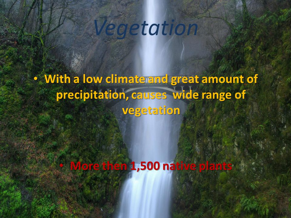 Vegetation With a low climate and great amount of precipitation, causes wide range of vegetation With a low climate and great amount of precipitation, causes wide range of vegetation More then 1,500 native plants More then 1,500 native plants