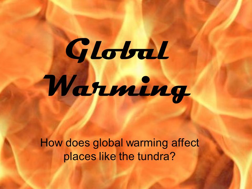 Global Warming How does global warming affect places like the tundra