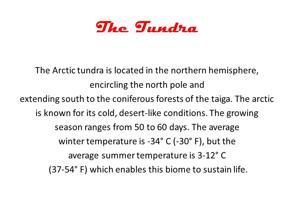 The Tundra The Arctic tundra is located in the northern hemisphere, encircling the north pole and extending south to the coniferous forests of the taiga.