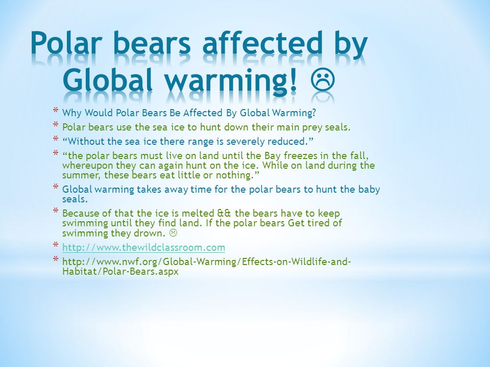 * Why Would Polar Bears Be Affected By Global Warming.