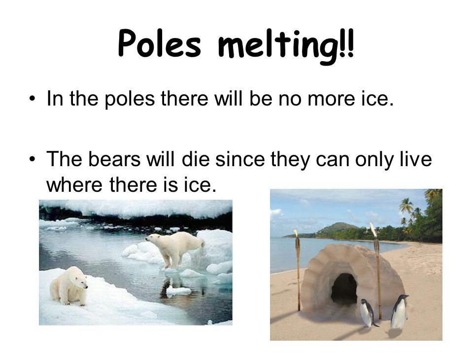 The Poles are melting The ice is the habitat of the Polar bear … Polar bears in trouble and no home Krill disappearing