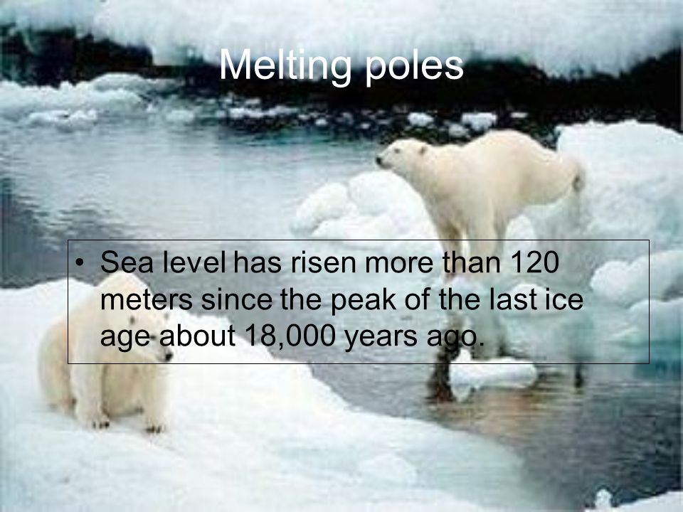 Effects On Global Warming Artic and Antarctic