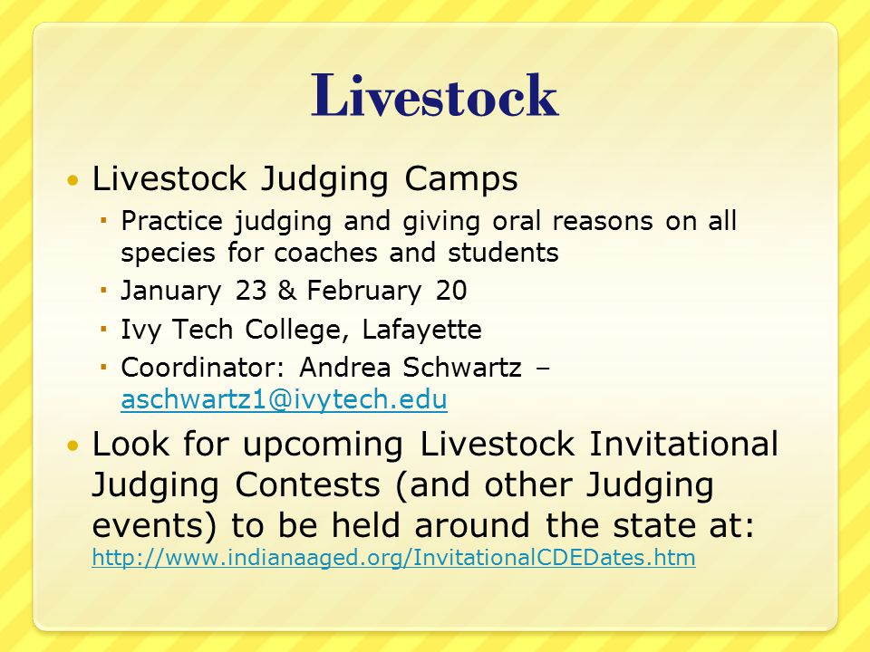 Livestock Livestock Judging Camps  Practice judging and giving oral reasons on all species for coaches and students  January 23 & February 20  Ivy Tech College, Lafayette  Coordinator: Andrea Schwartz –  Look for upcoming Livestock Invitational Judging Contests (and other Judging events) to be held around the state at: