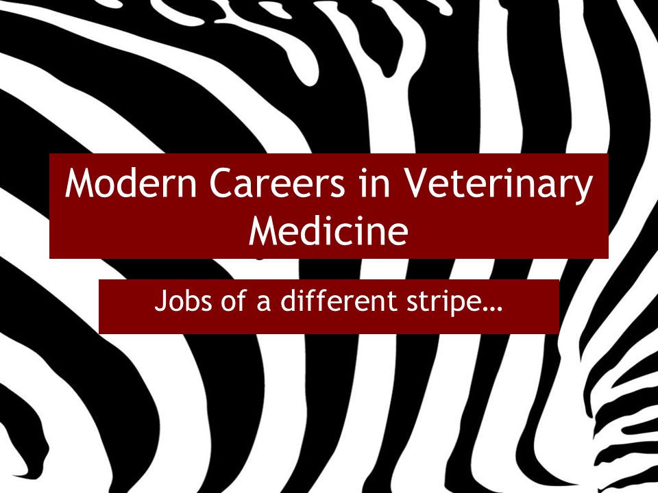 Modern Careers in Veterinary Medicine Jobs of a different stripe…