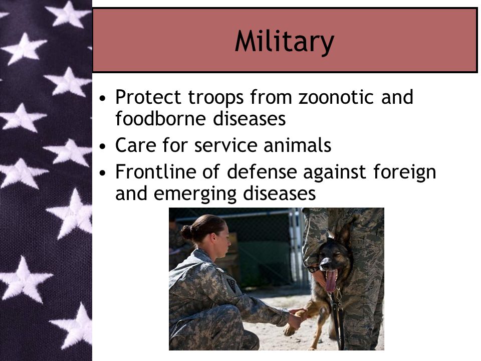 Military Protect troops from zoonotic and foodborne diseases Care for service animals Frontline of defense against foreign and emerging diseases