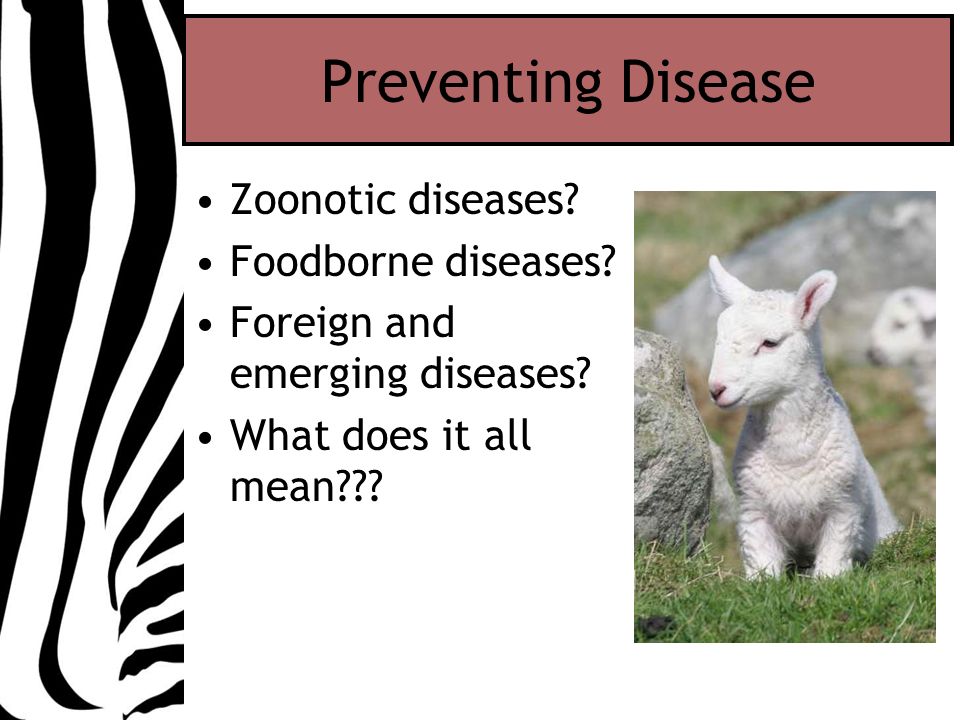 Preventing Disease Zoonotic diseases. Foodborne diseases.