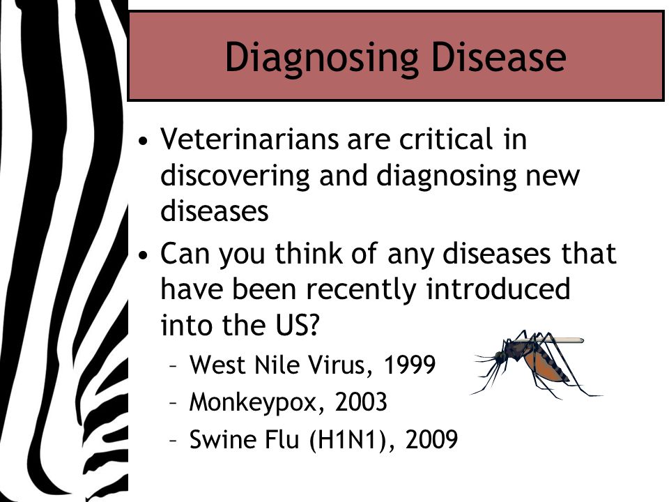 Diagnosing Disease Veterinarians are critical in discovering and diagnosing new diseases Can you think of any diseases that have been recently introduced into the US.