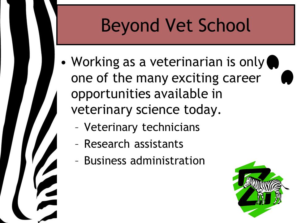 Beyond Vet School Working as a veterinarian is only one of the many exciting career opportunities available in veterinary science today.