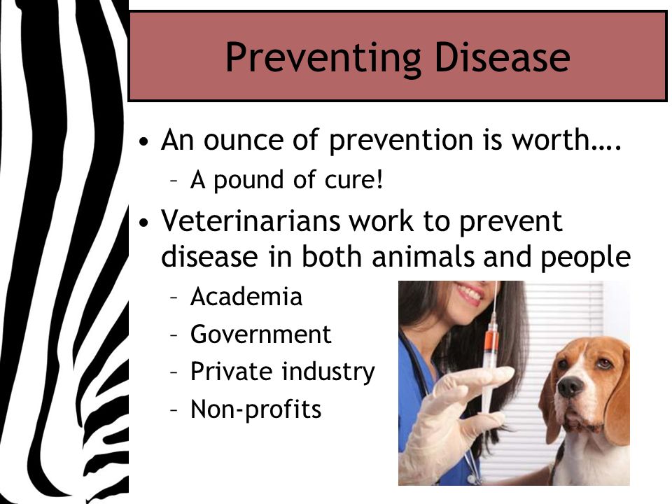 Preventing Disease An ounce of prevention is worth….