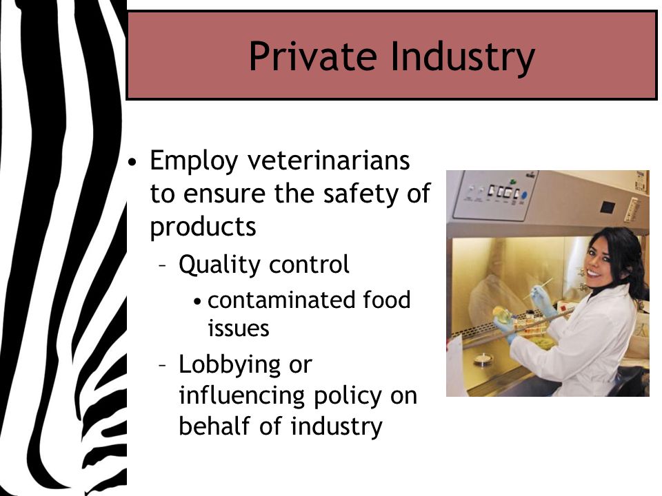Private Industry Employ veterinarians to ensure the safety of products –Quality control contaminated food issues –Lobbying or influencing policy on behalf of industry