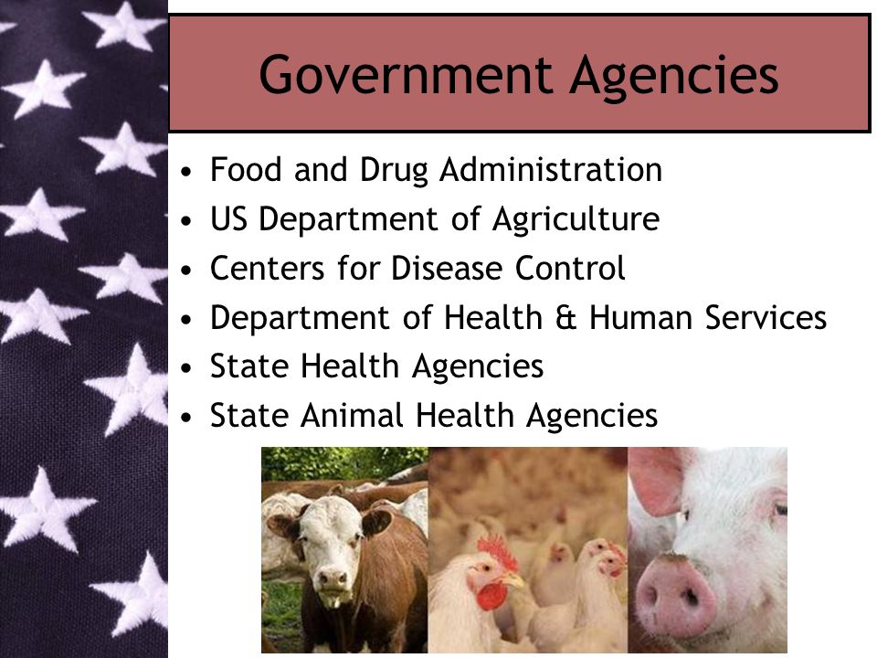Government Agencies Food and Drug Administration US Department of Agriculture Centers for Disease Control Department of Health & Human Services State Health Agencies State Animal Health Agencies