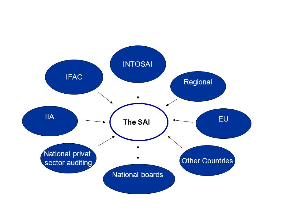 The SAI IFAC INTOSAI Regional IIA Other Countries National privat sector auditing National boards EU
