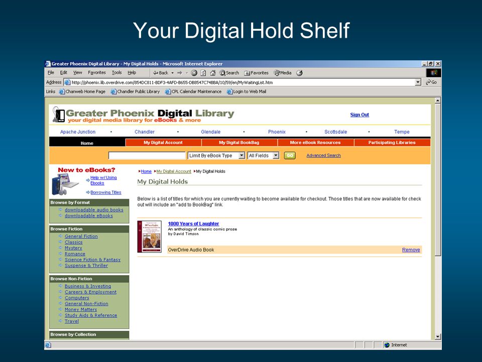 Your Digital Hold Shelf