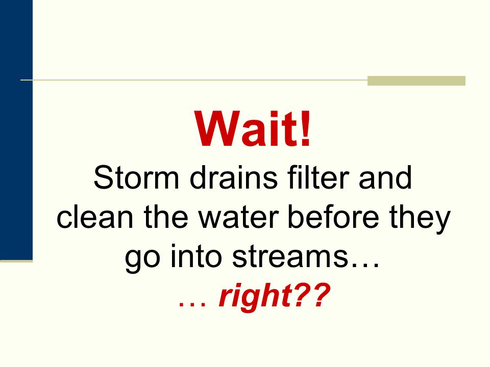 Wait! Storm drains filter and clean the water before they go into streams… … right