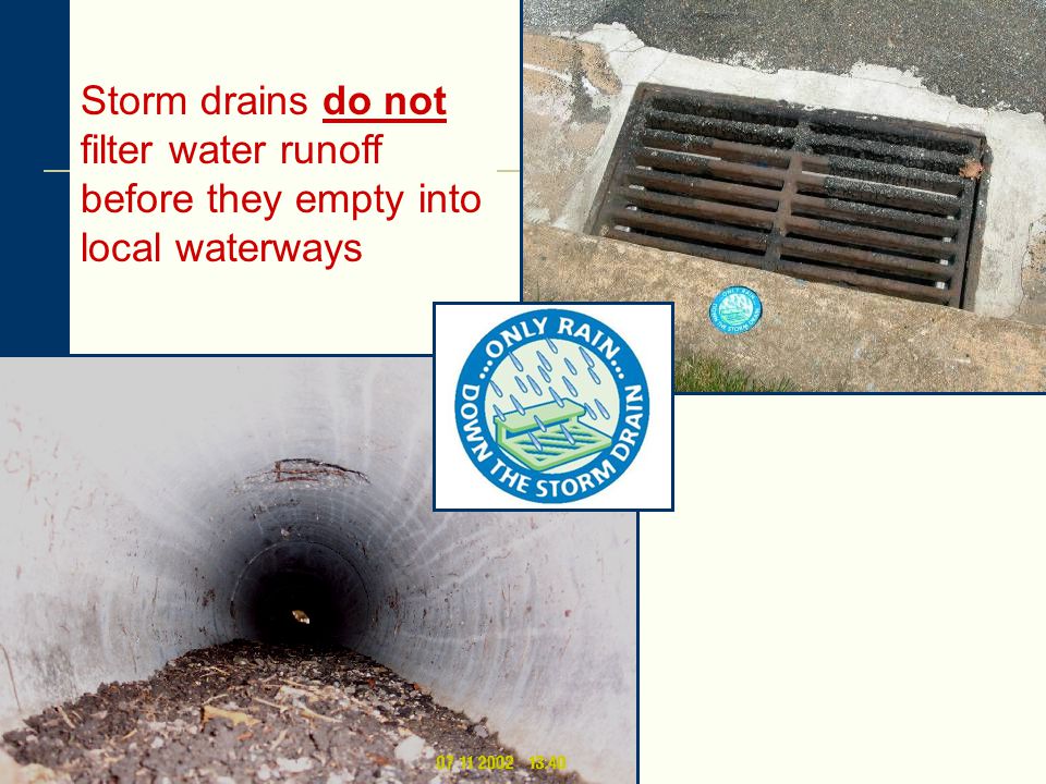 Storm drains do not filter water runoff before they empty into local waterways