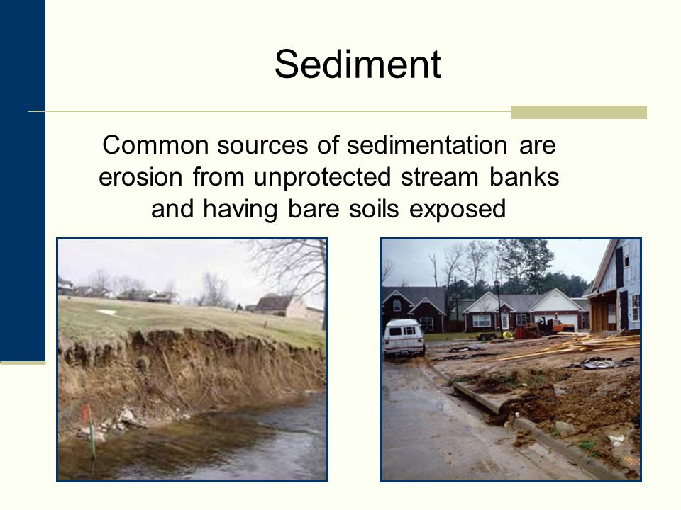 Sediment Common sources of sedimentation are erosion from unprotected stream banks and having bare soils exposed