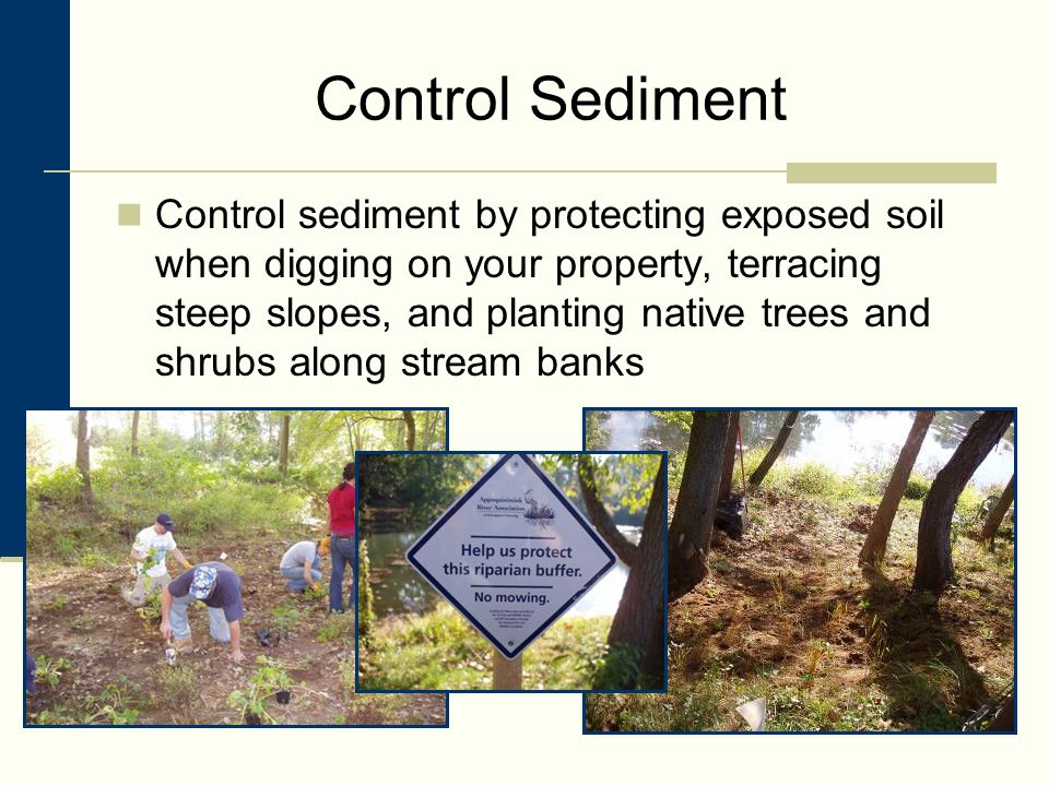 Control Sediment Control sediment by protecting exposed soil when digging on your property, terracing steep slopes, and planting native trees and shrubs along stream banks