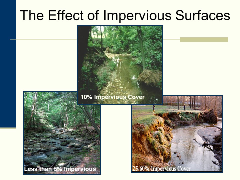 The Effect of Impervious Surfaces 5% Impervious Cover 10% Impervious Cover Less than 5% Impervious