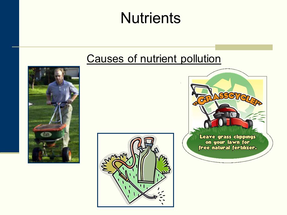 Nutrients Causes of nutrient pollution
