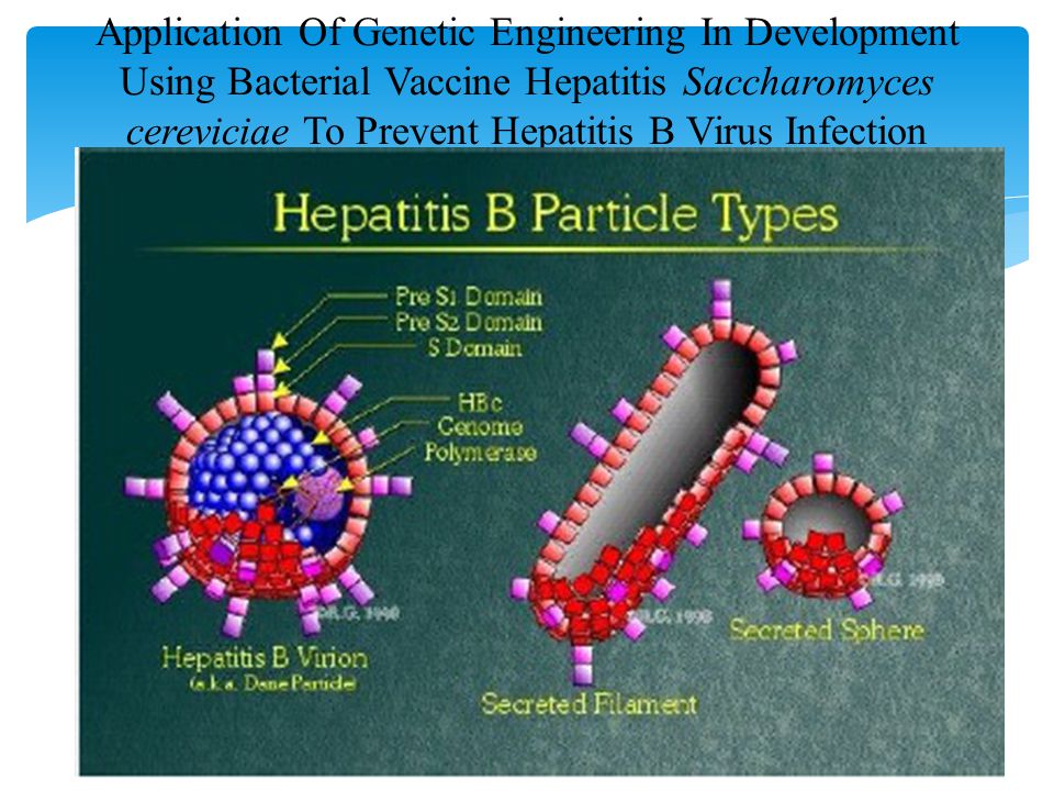 Virus 7. HBV вирус. Hepatitis Types. Hepatitis b virus. Types of Particles.