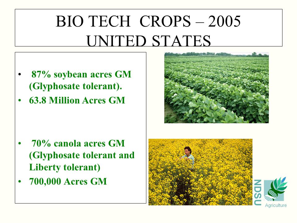 NDSU Agriculture BIO TECH CROPS – 2005 UNITED STATES 87% soybean acres GM (Glyphosate tolerant).