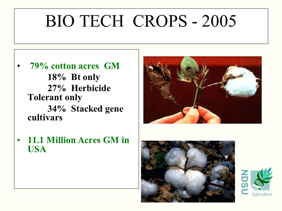 NDSU Agriculture BIO TECH CROPS % cotton acres GM 18% Bt only 27% Herbicide Tolerant only 34% Stacked gene cultivars 11.1 Million Acres GM in USA