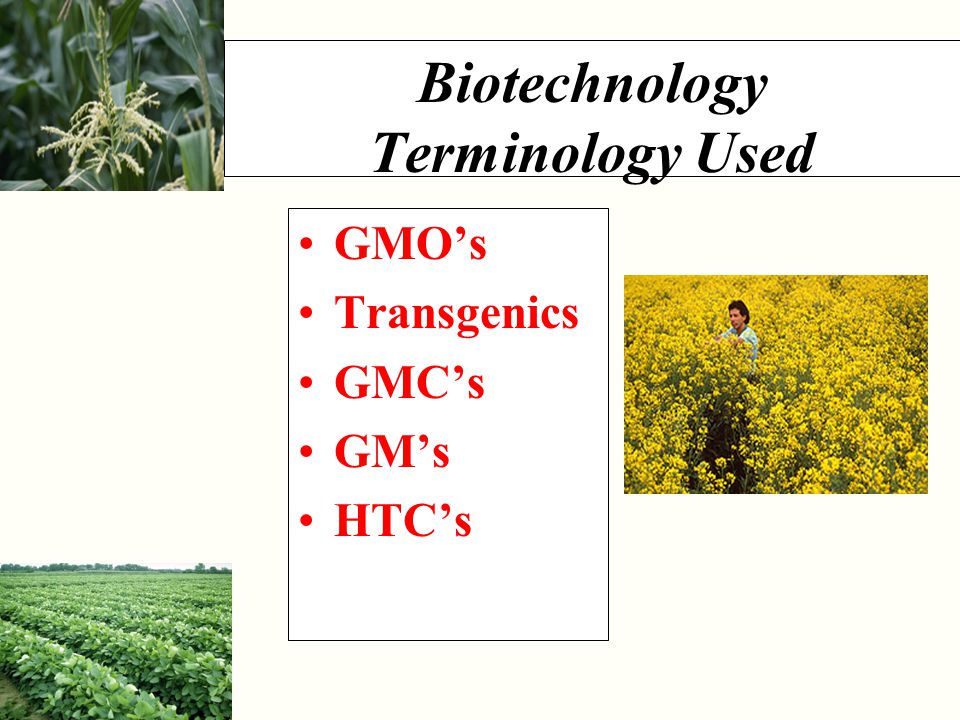 Biotechnology Terminology Used GMO’s Transgenics GMC’s GM’s HTC’s